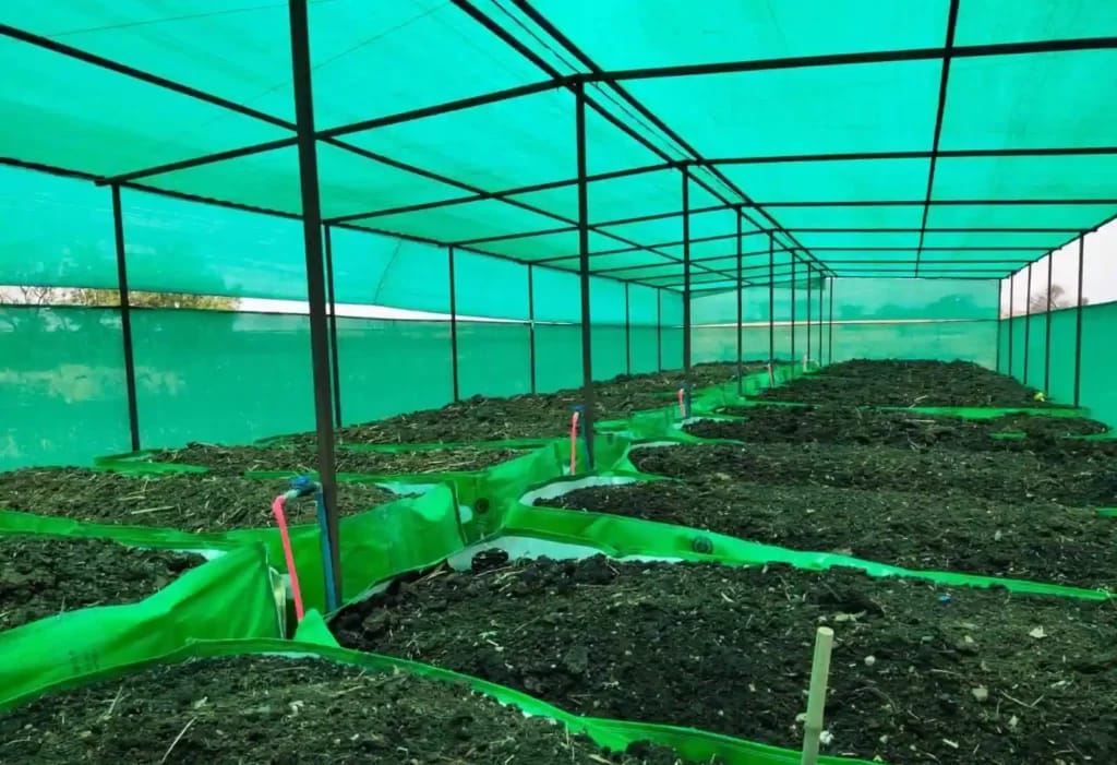 Vermicompost Culture